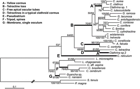 figure image